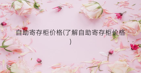 自助寄存柜价格(了解自助寄存柜价格)