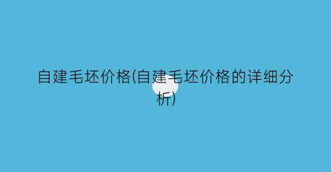 自建毛坯价格(自建毛坯价格的详细分析)