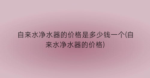 自来水净水器的价格是多少钱一个(自来水净水器的价格)
