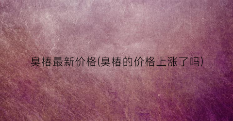 臭椿最新价格(臭椿的价格上涨了吗)
