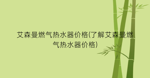 艾森曼燃气热水器价格(了解艾森曼燃气热水器价格)