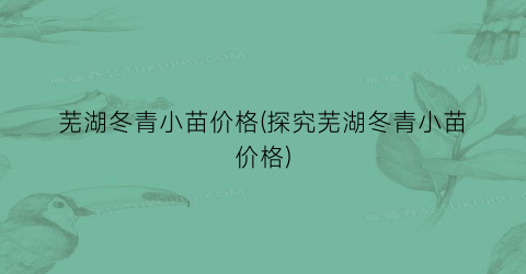 芜湖冬青小苗价格(探究芜湖冬青小苗价格)