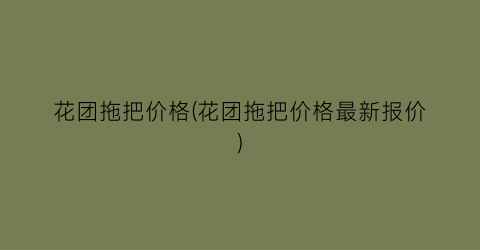 花团拖把价格(花团拖把价格最新报价)