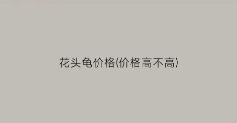 花头龟价格(价格高不高)