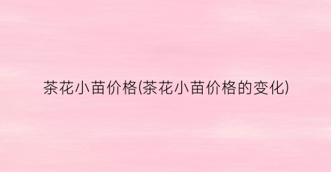 茶花小苗价格(茶花小苗价格的变化)
