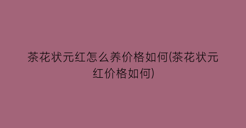 茶花状元红怎么养价格如何(茶花状元红价格如何)