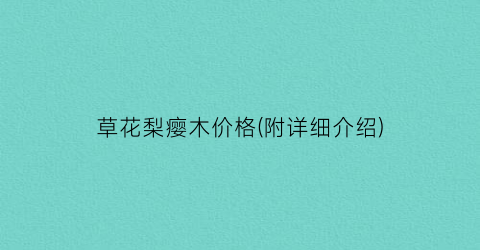 草花梨瘿木价格(附详细介绍)