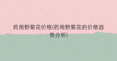 药用野菊花价格(药用野菊花的价格趋势分析)