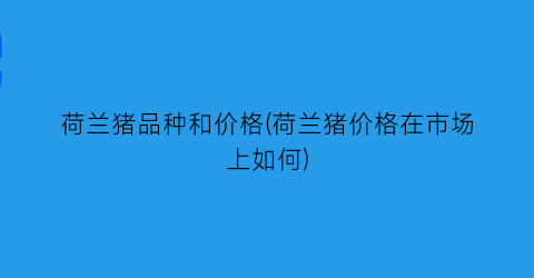 荷兰猪品种和价格(荷兰猪价格在市场上如何)