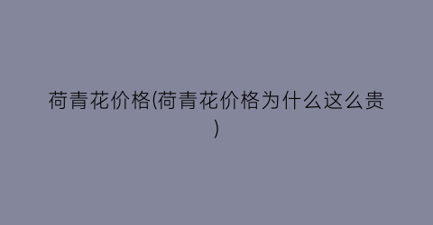 荷青花价格(荷青花价格为什么这么贵)