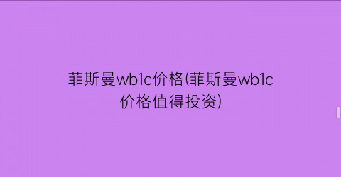 菲斯曼wb1c价格(菲斯曼wb1c价格值得投资)