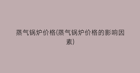 蒸气锅炉价格(蒸气锅炉价格的影响因素)