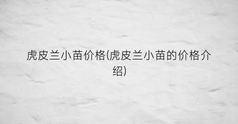 虎皮兰小苗价格(虎皮兰小苗的价格介绍)
