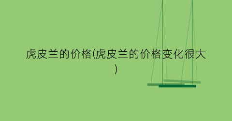 虎皮兰的价格(虎皮兰的价格变化很大)