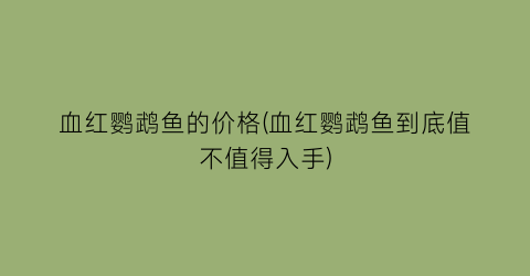 “血红鹦鹉鱼的价格(血红鹦鹉鱼到底值不值得入手)