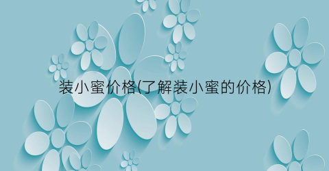 装小蜜价格(了解装小蜜的价格)