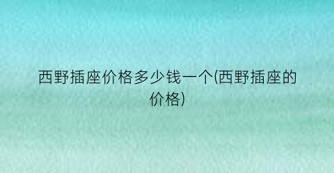 西野插座价格多少钱一个(西野插座的价格)