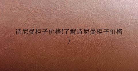 诗尼曼柜子价格(了解诗尼曼柜子价格)