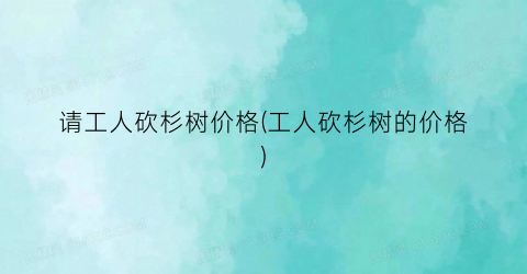 请工人砍杉树价格(工人砍杉树的价格)
