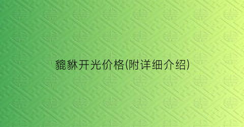 貔貅开光价格(附详细介绍)