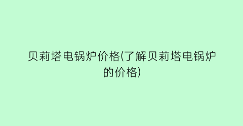 贝莉塔电锅炉价格(了解贝莉塔电锅炉的价格)