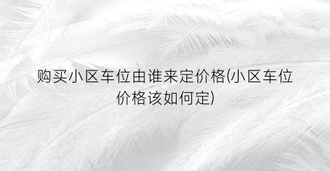 “购买小区车位由谁来定价格(小区车位价格该如何定)