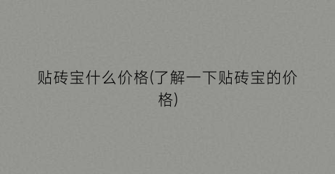贴砖宝什么价格(了解一下贴砖宝的价格)