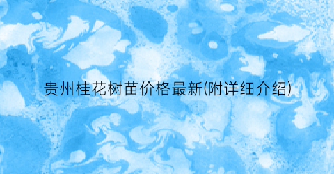 贵州桂花树苗价格最新(附详细介绍)