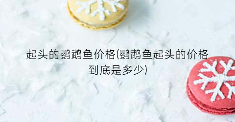 起头的鹦鹉鱼价格(鹦鹉鱼起头的价格到底是多少)