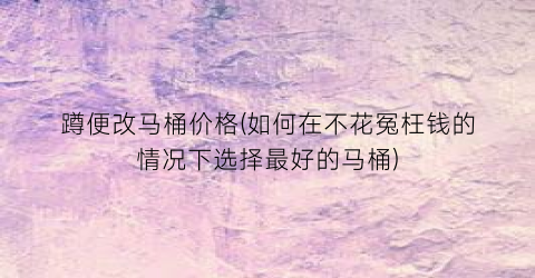 蹲便改马桶价格(如何在不花冤枉钱的情况下选择最好的马桶)