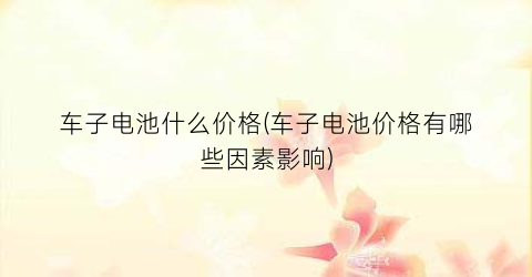 车子电池什么价格(车子电池价格有哪些因素影响)