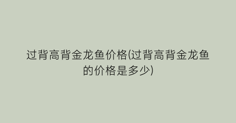 过背高背金龙鱼价格(过背高背金龙鱼的价格是多少)