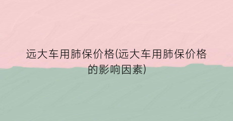 远大车用肺保价格(远大车用肺保价格的影响因素)