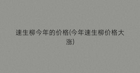 速生柳今年的价格(今年速生柳价格大涨)