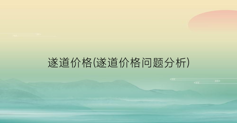 遂道价格(遂道价格问题分析)