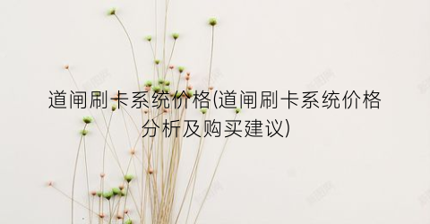 道闸刷卡系统价格(道闸刷卡系统价格分析及购买建议)