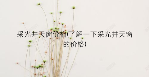 采光井天窗价格(了解一下采光井天窗的价格)