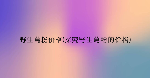 野生葛粉价格(探究野生葛粉的价格)