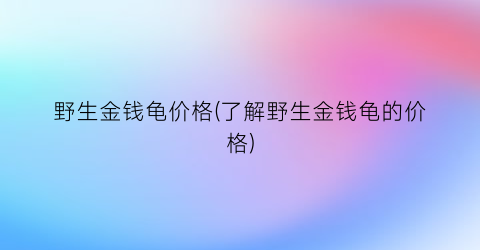 野生金钱龟价格(了解野生金钱龟的价格)