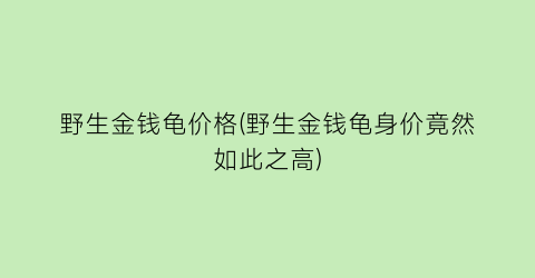 野生金钱龟价格(野生金钱龟身价竟然如此之高)