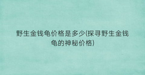 野生金钱龟价格是多少(探寻野生金钱龟的神秘价格)