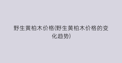 野生黄柏木价格(野生黄柏木价格的变化趋势)