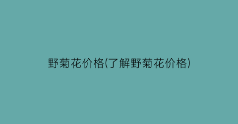 “野菊花价格(了解野菊花价格)