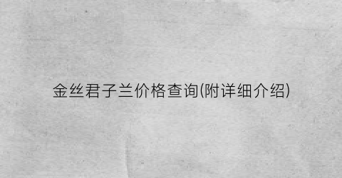 金丝君子兰价格查询(附详细介绍)