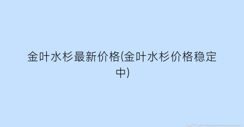 金叶水杉最新价格(金叶水杉价格稳定中)