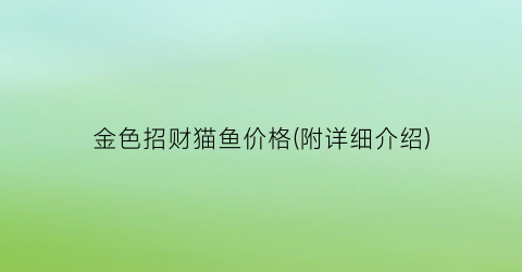 金色招财猫鱼价格(附详细介绍)