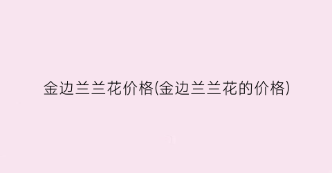 金边兰兰花价格(金边兰兰花的价格)