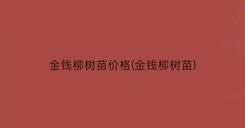 金钱柳树苗价格(金钱柳树苗)