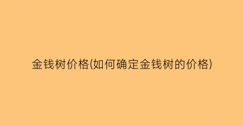 金钱树价格(如何确定金钱树的价格)
