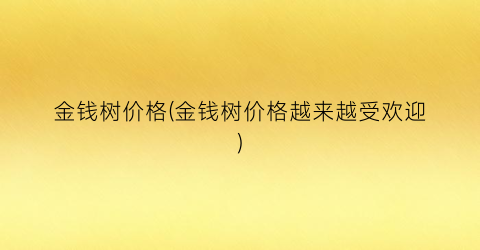 金钱树价格(金钱树价格越来越受欢迎)